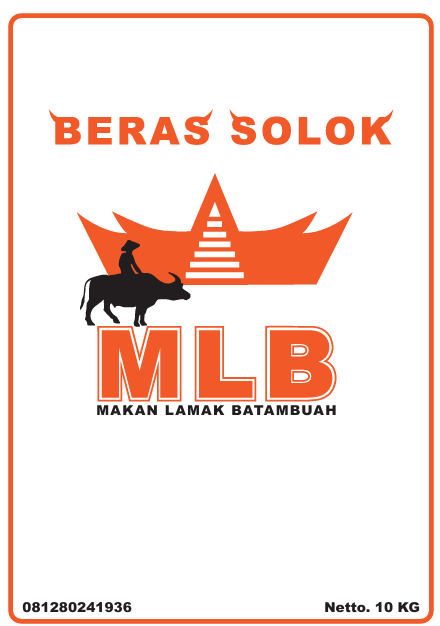 Logo Beras Solok MLB